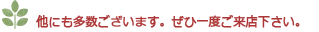 他にも多数ございます